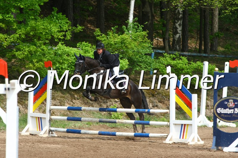 104M3784_J-Dremes_StispringWB E.JPG